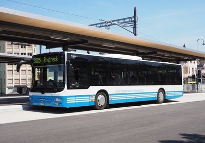 Buskonzept Rheintal 2025